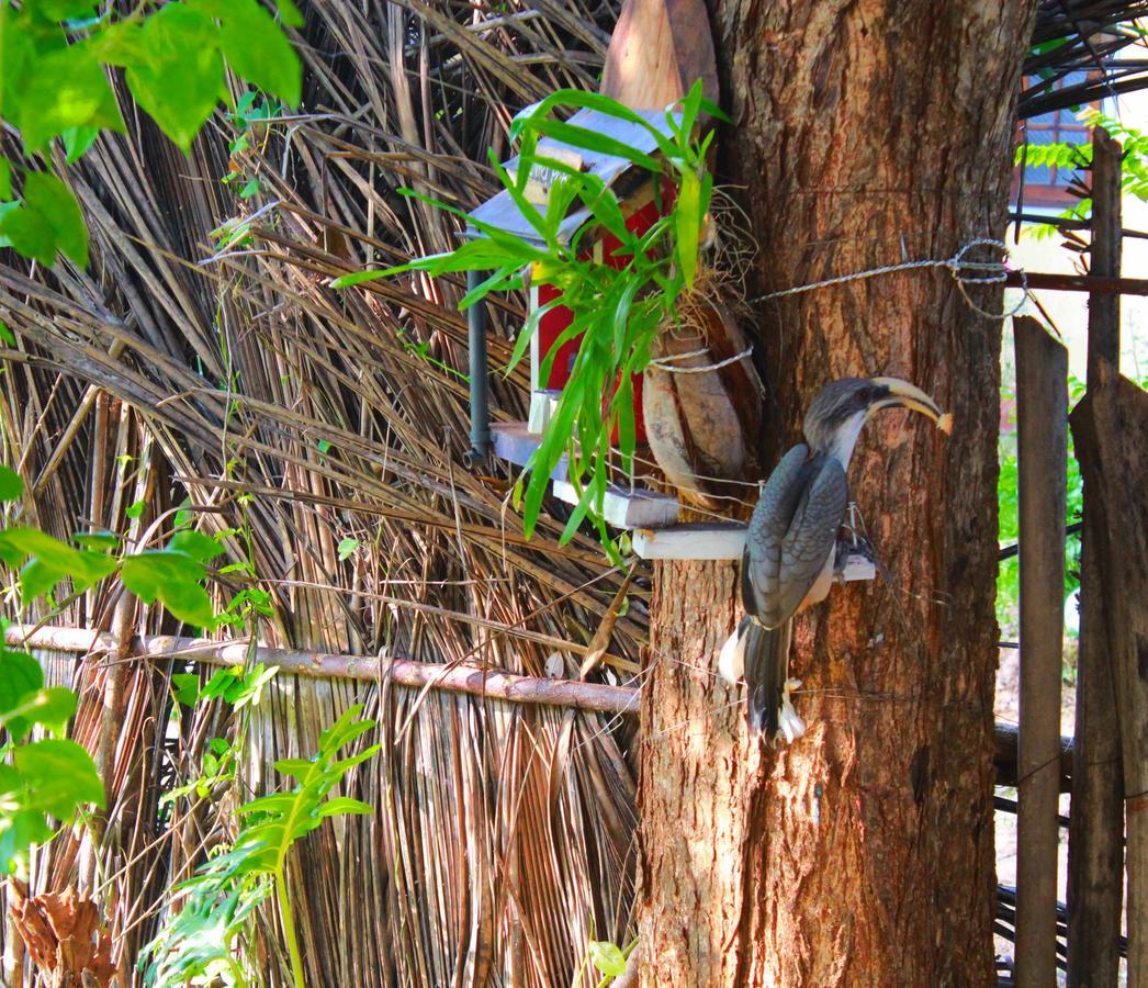The Courtyard Villa Sigiriya Esterno foto